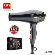 KIKI NEWGAIN NG-2500 Hair Dryer