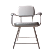 Salon Chair