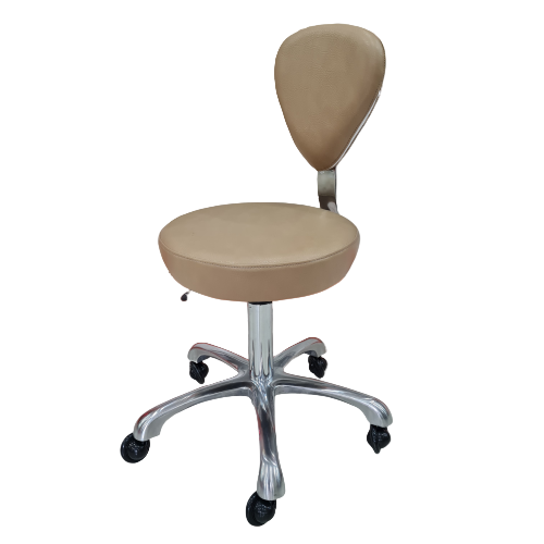 កៅអីវិលមានផ្អែក / Salon stool chair